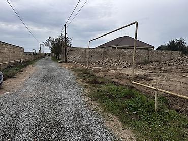 cepis satisi: 6 sot, Tikinti, Mülkiyyətçi, Kupça (Çıxarış) — 2