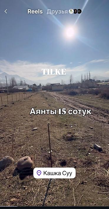 2 8: 15 соток, Договор купли-продажи, Красная книга, Тех паспорт — 2