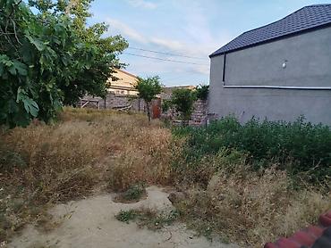 Torpaq: 4 sot, Tikinti, Mülkiyyətçi, Kupça (Çıxarış) — 8