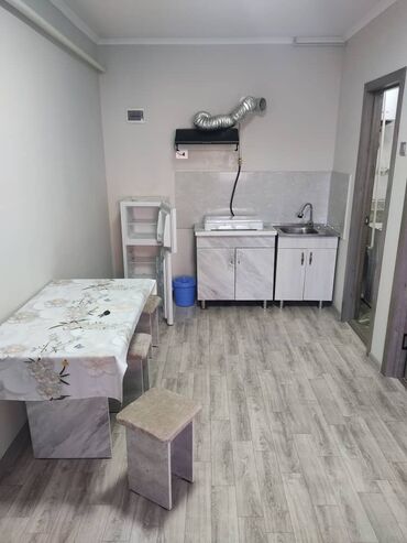 квартира бишкек аренда долгосрочно дизель: 1 бөлмө, Менчик ээси, Чогуу жашоосу жок, Жарым -жартылай эмереги бар