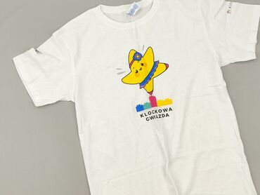 Women: Women`s T-shirt, S (EU 36)