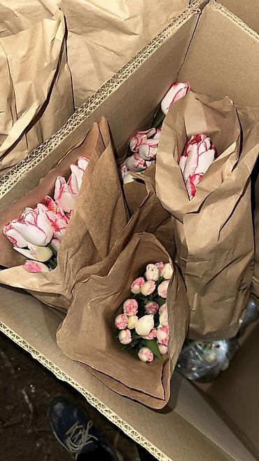 Букеты из живых цветов: Букеты тюльпанов - Срезанные тюльпаны в крафтовой и белой бумаге — 5