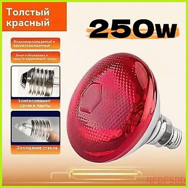 Айыл-чарба жаныбарлары: Лампа инфракрасная 150 W 200-200 сом W 250W -200 сом . Для обогрева — 4