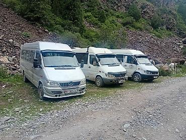 w210 e320: Пункт назначения: Все направления, Количество мест: 18, Лицензия №: 440853524 — 5
