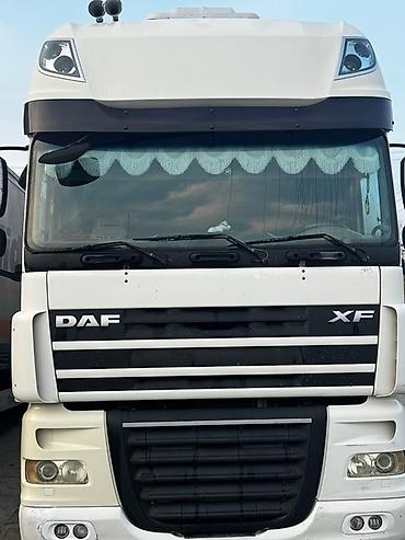 Тягачи: Тягач, DAF, 2007 г., Без прицепа — 4