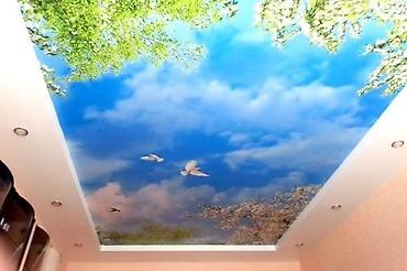 защитный щит: Натяжной потолок Глянцевое, Матовое, 3D потолки Монтаж, Гарантия, Демонтаж — 5