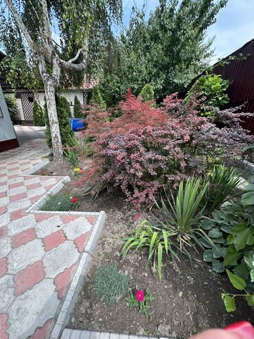 Бани, сауны, SPA: Баня, Сауна, Хамам | Массаж, Пилинг, Бассейн at lalafo.kg — 20 Бани, сауны, SPA: Баня, Сауна, Хамам | Массаж, Пилинг, Бассейн — 20