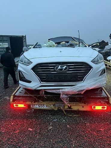 corolla 2016: Разбор Hyundai Sonata (седан, поколение около 2017–2019) Предлагаются — 1