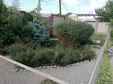 Продажа коттеджей и домов: Дом. 3 уровня. район Турусбекова/Ж.Жолу (Кудрука). 4,7 красная книга — 23