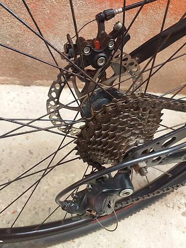 bicycle 29: İşlənmiş Şəhər velosipedi Velocruz, 29", sürətlərin sayı: 12 — 7