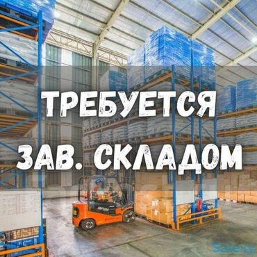 робота офисант: Кампа башчысы. Туңгуч мкр