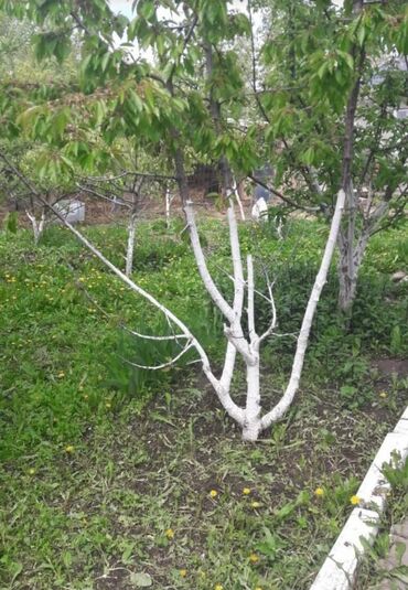 Продажа домов: Дача, 70 м², 4 комнаты, Агентство недвижимости — 11