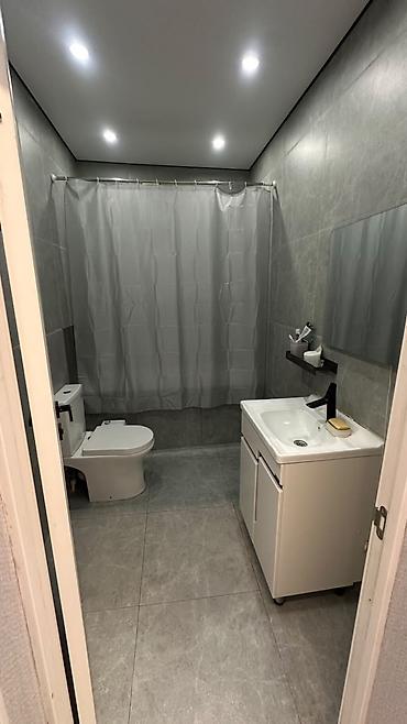 royal: 1 комната, 47 м², Кок-Жар мкр Элитка, 9 этаж, Свежий ремонт — 7