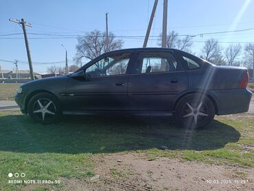 Opel: Opel Vectra: 2000 г., 1.8 л, Механика, Бензин, Седан