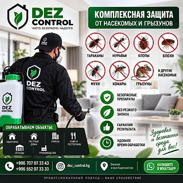 Дезинфекция, дезинсекция, | Муравьи, | Квартиры