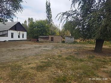 пантера котедж ориг: 4 комнаты, 120 м², 60 соток, Электричество — 5