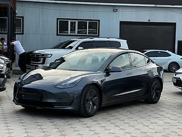 Tesla: Tesla Model 3: 2023 г., Автомат, Электромобиль, Седан — 2