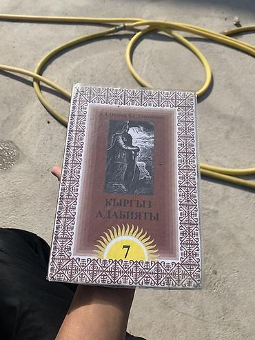 Учебники: Учебники для школы (на фото): - Литература, 6 класс. Издательство — 3