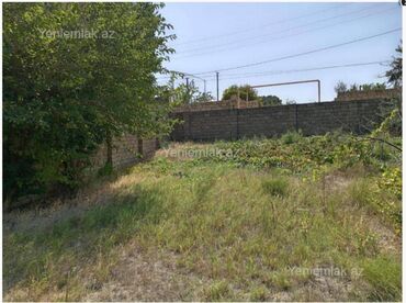 Torpaq sahələrinin satışı: 12 sot, Biznes üçün, Kupça (Çıxarış) — 1