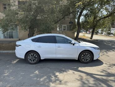 BYD: BYD Destroyer 05: 1.5 l | 2024 il 10000 km Sedan — 3