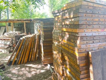 продам тюльпаны оптом: Куплю металл самовывоз металл куплю. Металл скупка дорого. куплю