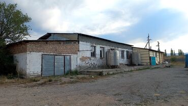 бизнес кафе: Производственное помещение с большой площадью и высокими потолками