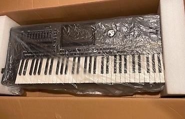 korg micro: Korg Pa5X 61 Professional Arranger klaviatura 901 seriya hami bilir — 1