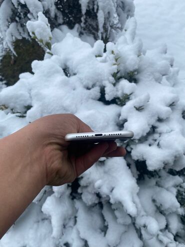 Apple iPhone: IPhone 11, 64 ГБ, Серебристый — 8