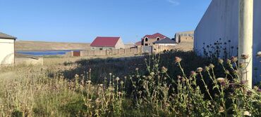 продажа дачных участков в баку: 5 sot, Biznes üçün, Mülkiyyətçi, Kupça (Çıxarış)
