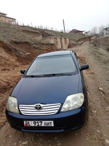 тойота королла 2003: Toyota Corolla: 2003 г., 1.6 л, Механика, Бензин, Седан