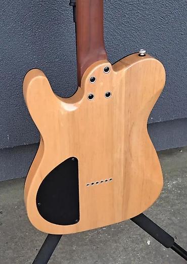 bas gitara cena: HARLEY BENTON FUSION-T HH HT ROASTED SSP | Slanje po dogovoru ili — 5