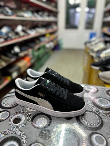 Кроссовки и спортивная обувь: Мужские кроссовки, 40, Puma, Новый, Бесплатная доставка