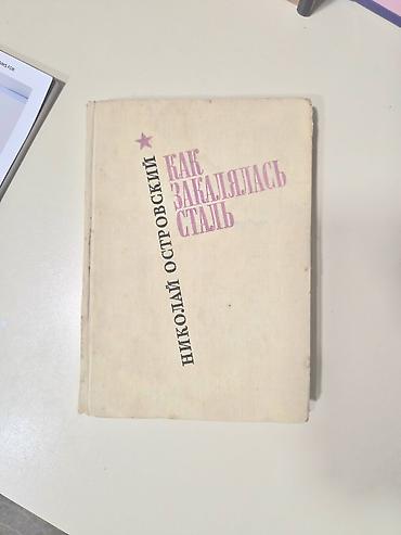 Художественная литература: Николай Островский “Как закалялась сталь” — 1