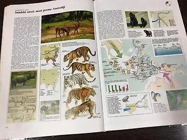Dečije knjige: Veliki atlas životinja – Mladinska knjiga Ilustrovani enciklopedijski — 5