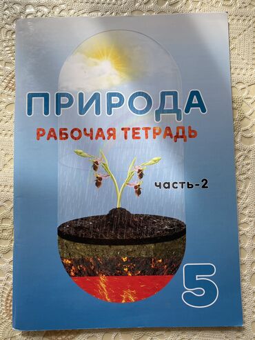 мсо 5 по информатике 2 класс баку: Рабочая тетрадь по природе почти не использованы внутри чисто 5 Класс