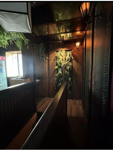 Рестораны, кафе: Мира-Ахунбаева, 1 линия. Входная группа. Красная книга. Общая площадь — 12