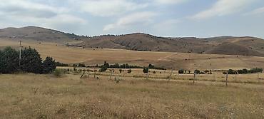 hövsan satılıq evlər: 8 sot, Tikinti, Mülkiyyətçi, Kupça (Çıxarış) — 2