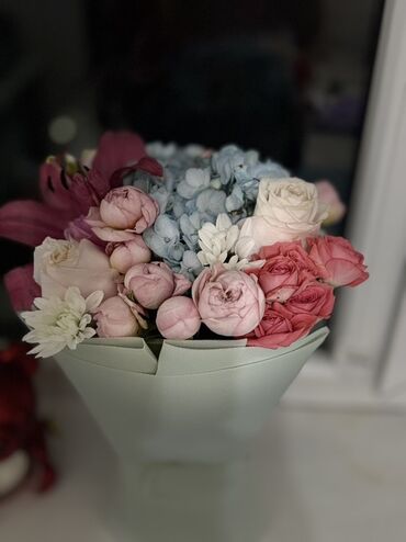 купить набор инструментов force: Семья ищет квартиру от 25000 т до 35000 с ремонтом