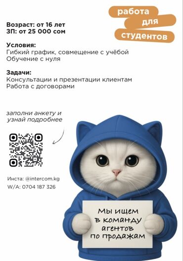 Торговые агенты: Вакансия: агент по продажам Компания: Intercom — умный домофон. Что
