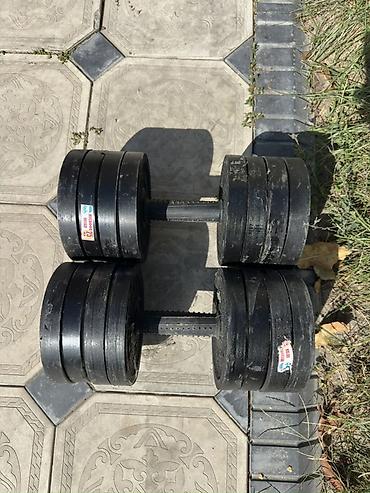 диски cd: Гантели разборные, пара. 25+25=50кг Характеристики: - Тип: разборные — 2