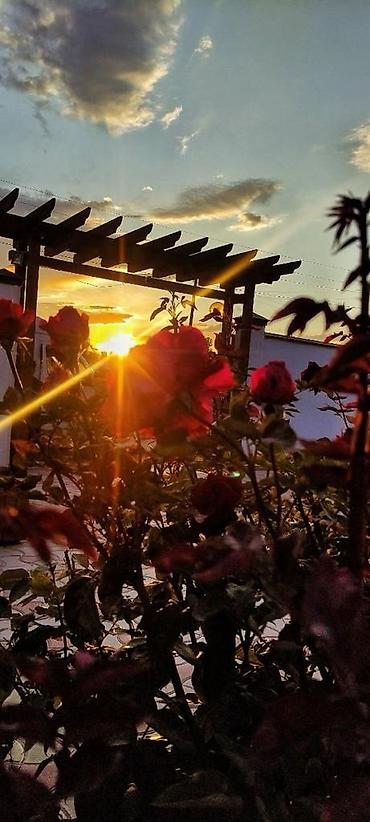 Продажа отелей и хостелов: Продаю отель на Иссык Куле в с. Тамчи . 200 км от г. Бишкек. Участок — 2