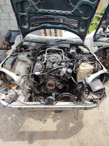 Ноускат, хафкат: Б/у, Оригинал — 6