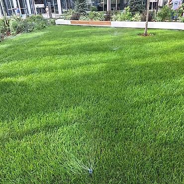 Ремонт сантехники: Ремонт сантехники Больше 6 лет опыта — 29