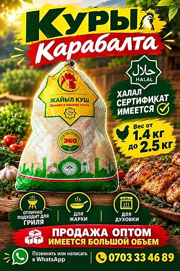 кфс ош фото: Целая курица «Жайыл Куш» в фирменной упаковке. - Курица — 1