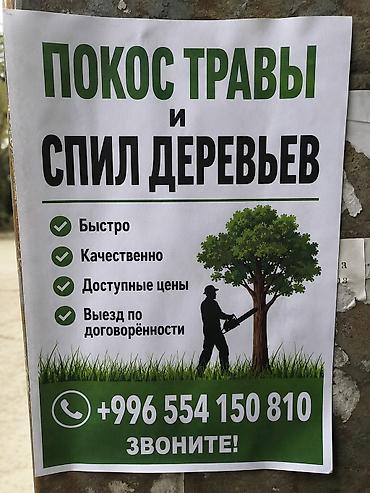 Уборка территории, Стрижка газона