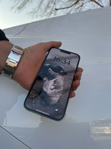 Apple iPhone: IPhone 13 Pro Max, Б/у, Графит, Чехол, 81 % — 2