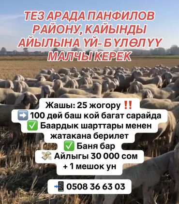 нижня аларча: Требуется Пастух, Оплата Ежемесячно
