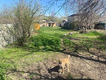 Продажа коттеджей и домов: Одноэтажный дом с современным ремонтом. Планировка и отделка: - — 10