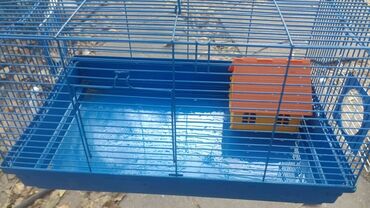 продажа щенков немецкой овчарки с документами в бишкеке: Клетки для хомячков. не дорого. хомячки по 150 сом