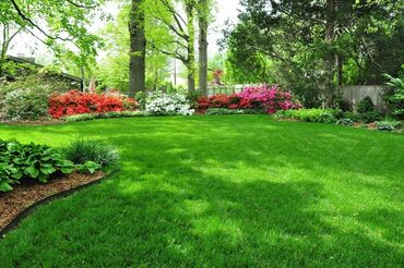 ищу садовника: Сеем газон, полив, посадка, обрезка, уход и стричь газона раз неделю
